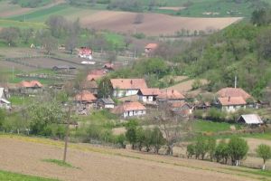 Primăria Livezeni angajează