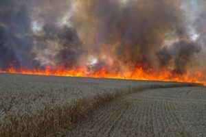 Prahova, mistuita de incendiile de vegetaţie uscata!