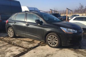 FOTO. S-a prezentat cu un Citroën în vama Petea şi a rămas fără el. S-a ales şi cu dosar penal