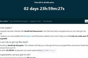 IGPR: A apărut un nou soft GRATUIT, pentru victimele GrandCrab – cel mai agresiv şi mai răspândit virus informatic din lume