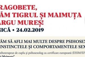 De Dragobete, cartea „Tigrul şi Maimuţa“ vă desluşeşte tainele relaţiilor intime