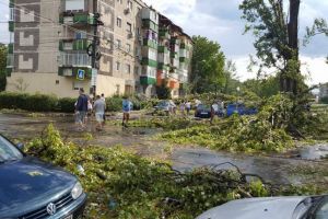 PSD ii cere lui Robu sa scoata la curatenia de dupa furtuna firmele apropiate Primariei Timisoara