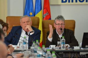 Se simt ameninţaţi: Consilierii PSD, UDMR şi ALDE n-o validează pe Carmen Pantiş în funcţie de teamă să nu-şi piardă din nou majoritatea (FOTO)