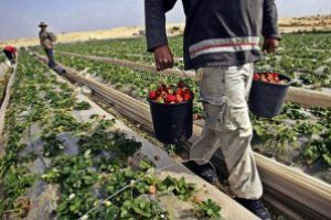 Maramures: Oamenii de afaceri cer administratiei implicare in stoparea exodului fortei de munca