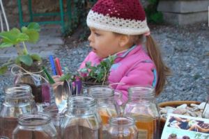 Un pas spre o lume mai apropiată de natură: FLORA – Biblioteca de seminţe
