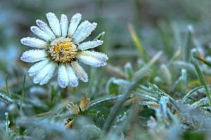 VREMEA se schimbă brusc. Anunţul meteorologilor