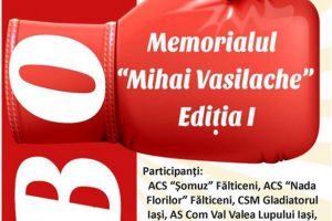 Memorialul “Mihai Vasilache