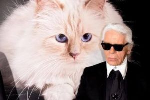 Este posibil ca PISICA lui Karl Lagerfeld  să moştenească AVEREA? Ce spune legea franceză