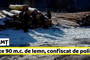 NEAMȚ: Peste 90 m.c. de material lemnos, confiscat de poliţişti