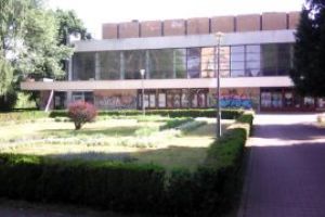 Talharie in Parcul Dacia: Doi tineri baimareni si-au riscat libertatea pentru 20 de lei