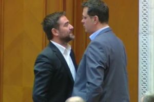 Lupte de cocoşi în Parlament!