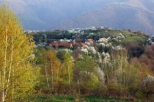 Satul unde timpul a încremenit în loc iar banii nu mai au nicio valoare. INCREDIBIL cât costă o casă