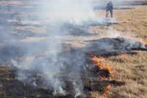 Alerta de incendiu in judetul Tulcea. Intervin pompierii. Ce a luat foc (galerie foto) 