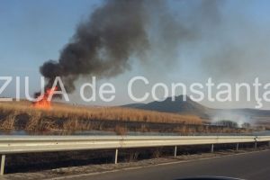 Incendiu, in apropierea cetatii Enisala