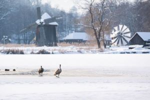 Concurs inedit de Dragobete la Muzeul Astra – Premii surpriză!