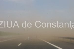 Pericol pe Autostrada Soarelui. Vizibilitate redusa din cauza unui nor de praf (galerie foto)