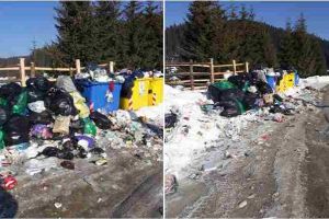 FOTO ȘTIREA TA: Paradisul din Munţii Șureanu îngropat în gunoaiele neridicate de firma de salubritate