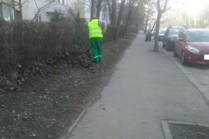 Constanta. Serviciul Gestionare Spatii Verzi, actiune de toaletare a arborilor pe traseul mijloacelor de transport in comun (galerie foto)  