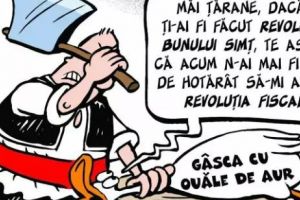 Părerea lui Terente