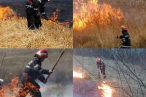 Pompierii fac apel la cetăţeni să respecte măsurile de prevenire a incendiilor de vegetaţie uscată