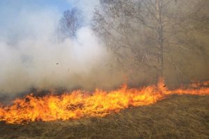 Incendiu de vegetaţie uscată la Alba Iulia
