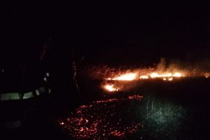 Incendiu de vegetaţie la Scoarţa! Au ars 20 de hectare de iarbă uscată