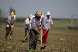 Agenţii specializate acreditate de stat,  care vor pune în legătură firmele cu muncitorii zilieri – PROIECT