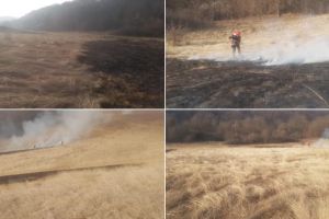 FOTO/ VIDEO: Incendiu de vegetaţie uscată la Alba Iulia