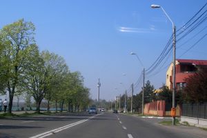 Între două surpări, consolidarea Falezei e tergiversată de Primărie