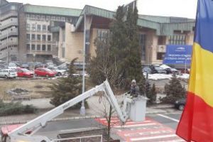 Imaginea zilei: Toaletare copaci de catre SPAU Baia Mare