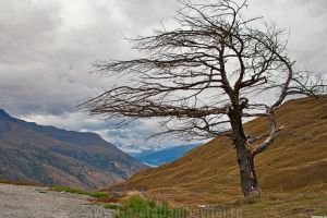 METEO: Vremea se schimbă radical – frig, vânt, precipitaţii