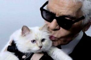 Choupette, pisica lui Karl Lagerfeld, a transmis pe Instagram: „Cu o inimă odată rece, dar acum frântă, intru în doliu