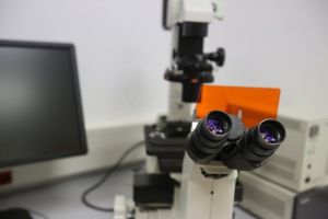 La Timişoara, peste 300 de doctori dezbat cel mai nou tratament împotriva cancerului