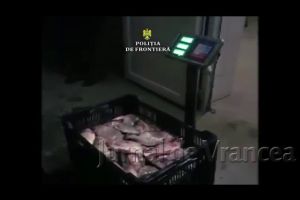 VIDEO: Vrâncean, prins cu o pescărie mobilă ilegală! Ce idee i-a venit omului ca să aducă acasă caras proaspăt