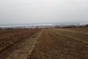 Vanzare teren arabil in Livezile, jud. Bistrita-Nasaud – Extras publicatie imobiliara, din data de 19. 02. 2019