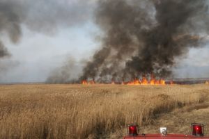 Pompierii, in alerta! Hectare intregi de vegetatie, in flacari (galerie foto) 