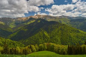 Când ar putea primi compensaţii primăriile care au păduri în zone protejate