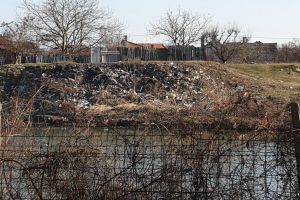 Gunoaiele pe Criş, vestitorii primăverii: Malurile râului care traversează Oradea, doldora de PET-uri