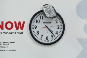 Expoziţia de artă a strănepoatei lui Sigmund Freud, Jane McAdam Freud, va putea fi vizitată în Cetatea Oradea