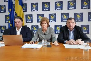 Parlamentarii PNL spun că Ioan Mang ar trebui să aducă 