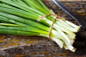 Ceapă verde şi salată din serele din Vrancea, în curând în reţeaua de supermarketuri PACO