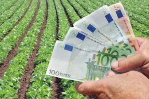 Cererile unice de plată pentru subvenţiile agricole se depun în martie