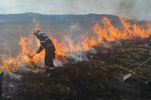 Incendiu în apropierea autostrăzii A1, în apropiere de Simeria
