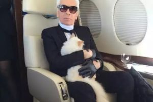Cine a fost Karl Lagerfeld? Povestea excentricului creator de modă cu cea mai „frumoasă pisică din lume”