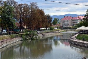 Cod galben de inundaţii pe Crişurile Repede şi Negru