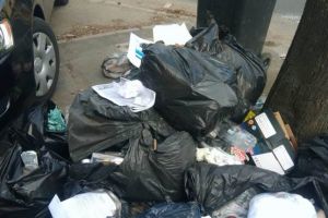 Amenzi pe bandă rulantă pentru timişorenii care abandonează deşeuri pe domeniul public