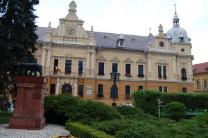 Primăria Braşov scoate la licitaţie publică păşunile publice