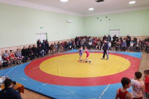 Luptătorii din judeţ se vor întâlni din nou pe saltea la Cupa „Constantin Tăpârjan”
