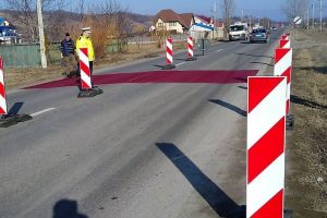 Primele măsuri pentru combaterea pestei porcine în zona Oneşti