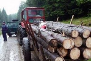 Dosar penal pentru un bărbat din Cricău prins cu un transport de material lemnos tăiat ilegal